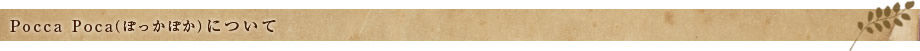 Pocca Poca�i�ۂ����ۂ��j�ɂ���